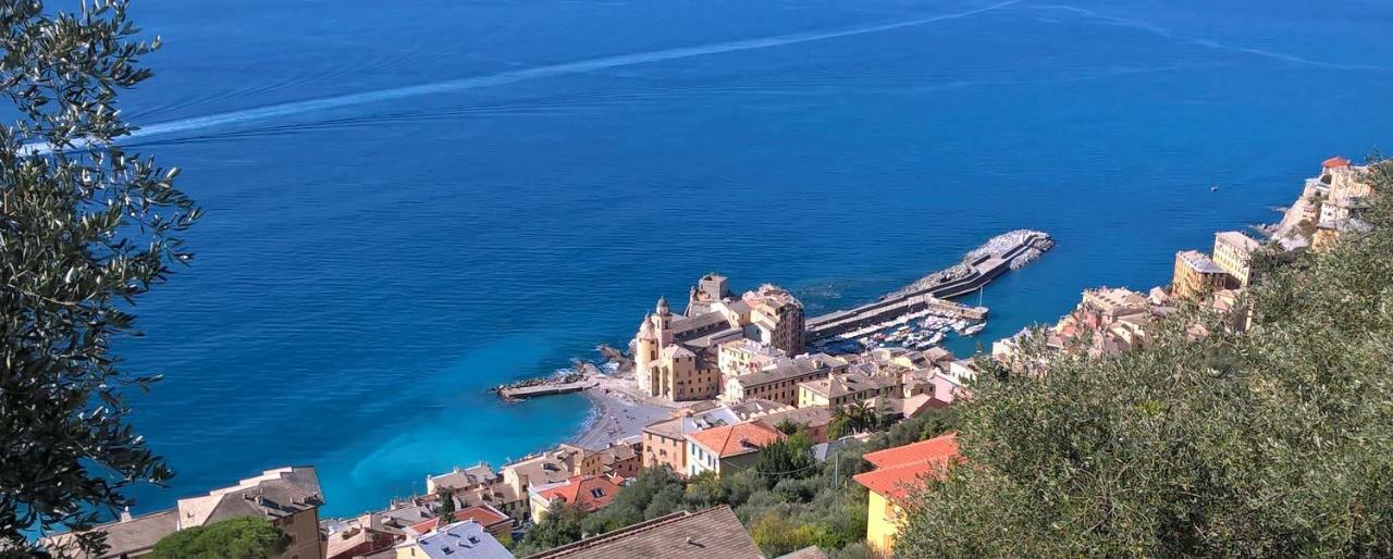 Camogli Golfo Paradiso La Casa Del Comandante Exteriör bild